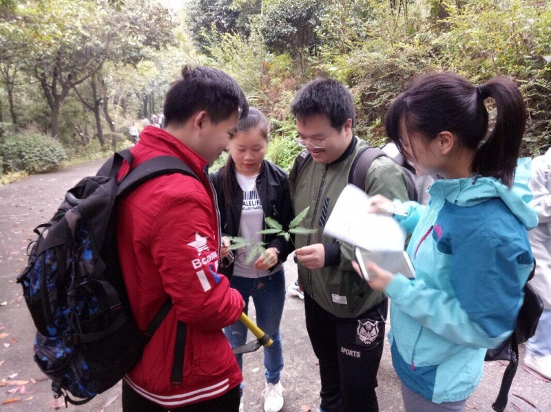 校外实训---学生在认真分辨采集到的标本