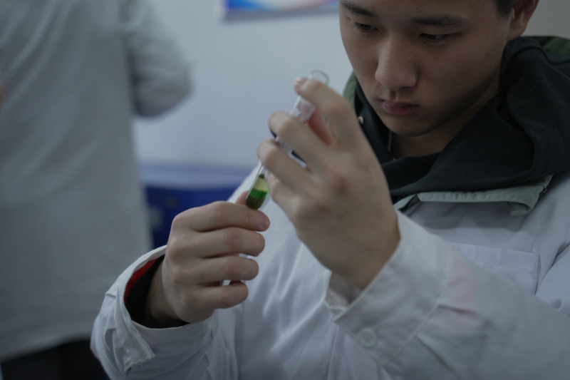 药物化学实训-常见药物理化鉴别