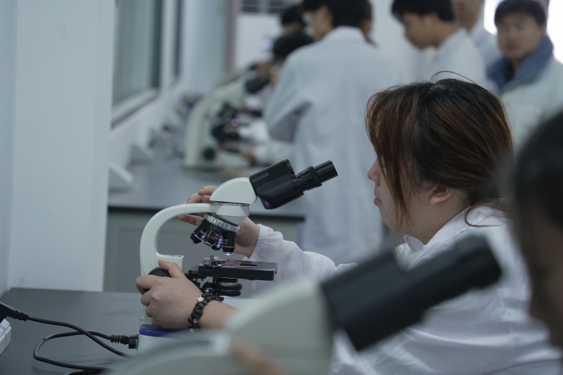 中药鉴定实训-药材粉末显微观察