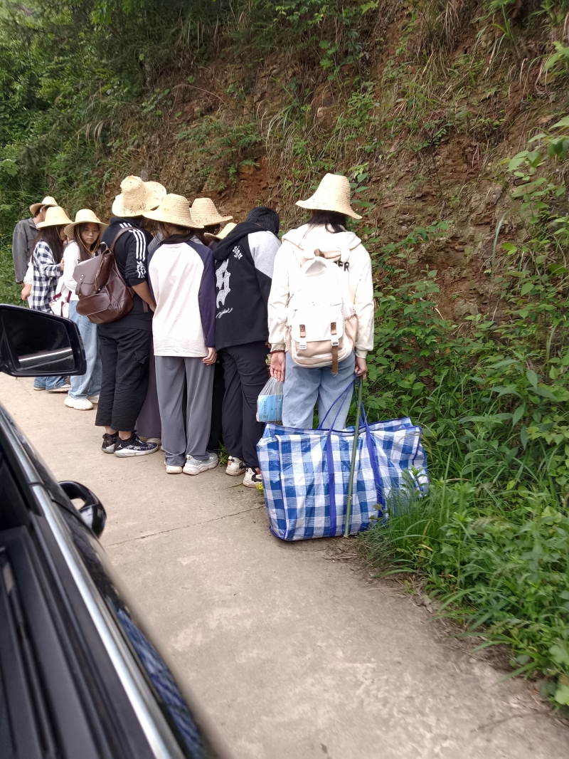 校外实训之标本采集