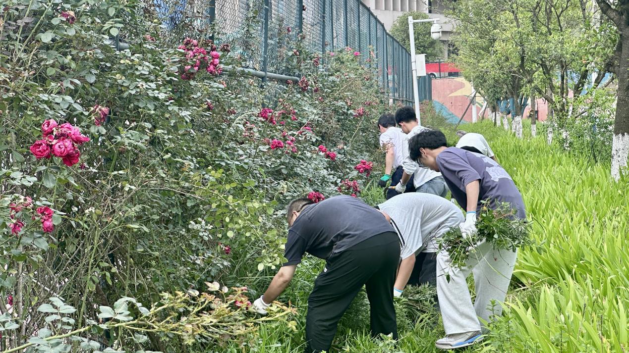 党建引领践初心 志愿服务药园圃 —— 药学院开展药用植物园养